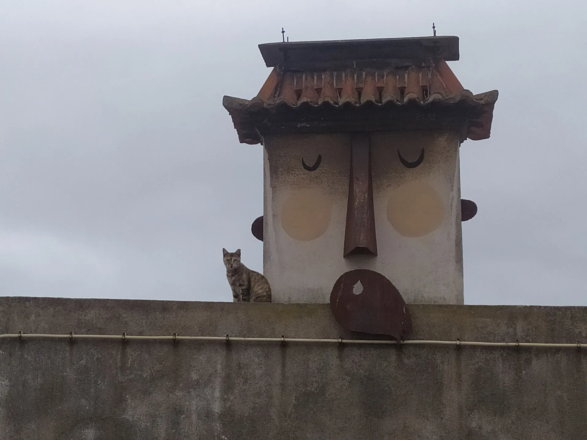 Horta Navia Installation (2021)